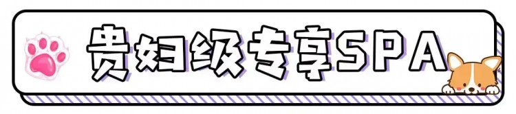 邯郸这家宠物店竟然有这种福利99%的铲屎君却不知道！